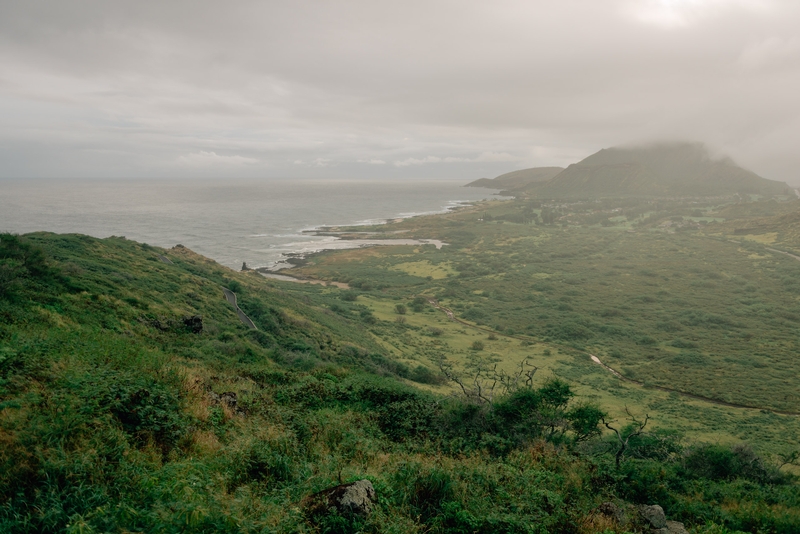 The View from the Trail