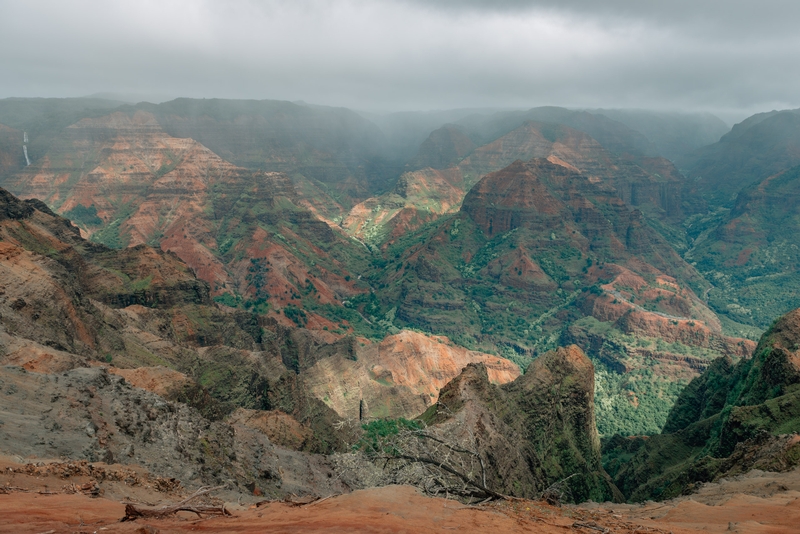 Overlooking Waimea Canyon 2