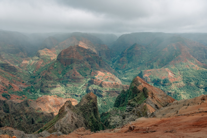 Overlooking Waimea Canyon