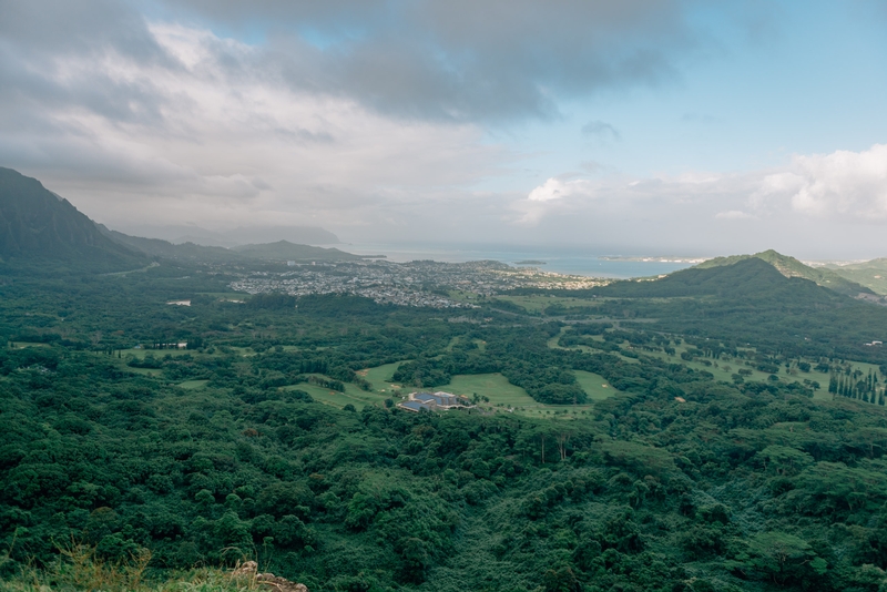 From the Nu'uanu Pali Lookout