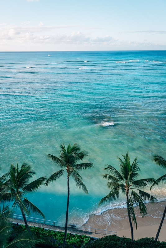 Tropical Beach With Palm Trees