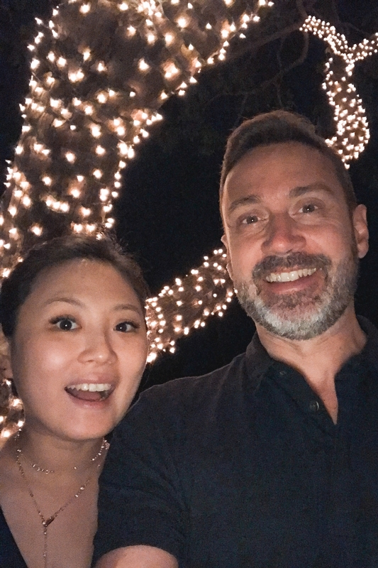 Festive Night Under Holiday Lights