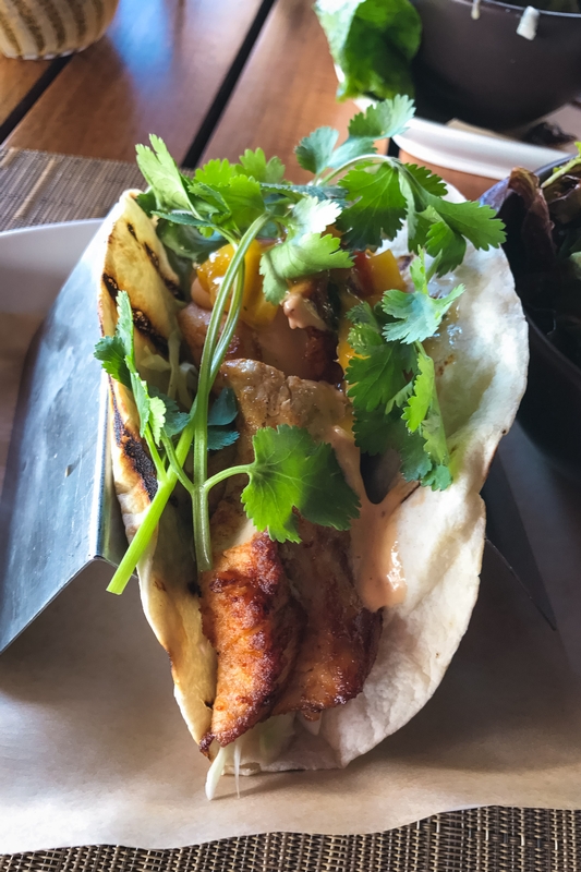 Fresh Cilantro Meat Tacos
