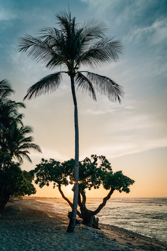 Sunset Near the Beach at the Four Seasons Hualalai 2