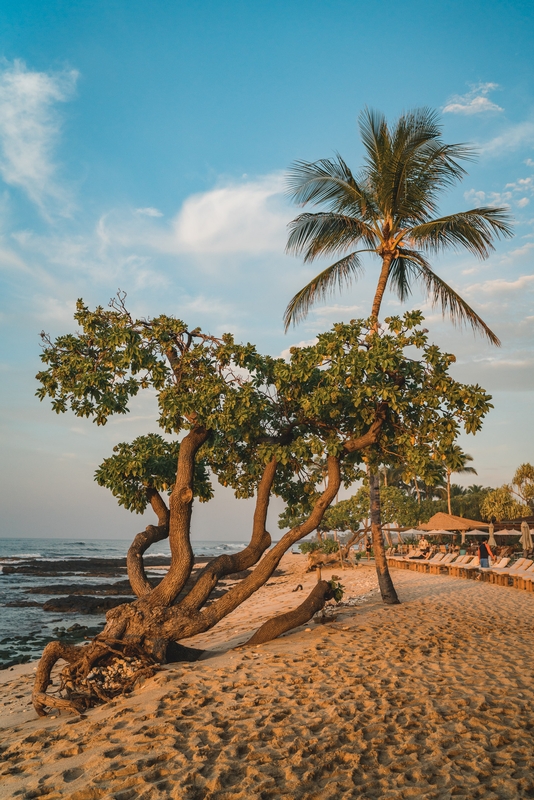 Sunset Near the Beach at the Four Seasons Hualalai 3