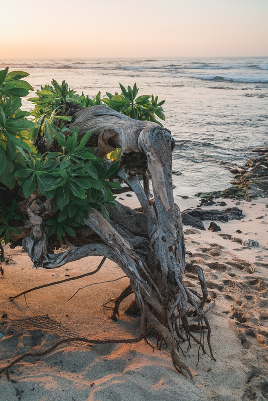 Sunset Near the Beach at the Four Seasons Hualalai 5