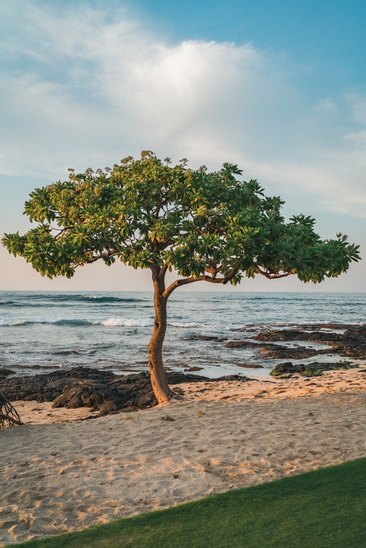 Sunset Near the Beach at the Four Seasons Hualalai