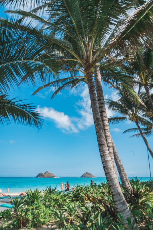 The Mokes at Lanikai Oahu