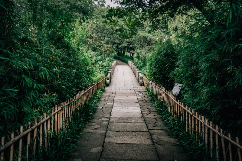 On the Path in Hongzhou