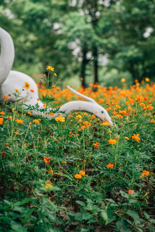 Statue and Flowers