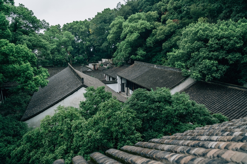 The Rooftops