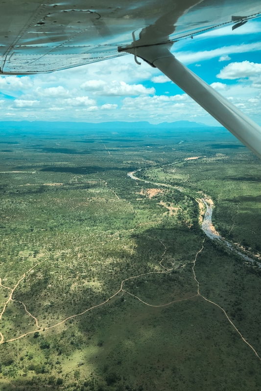 Aerial View of Forest and River