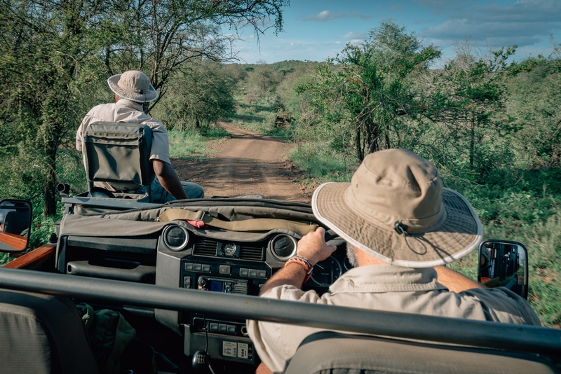 A Typical Game Drive