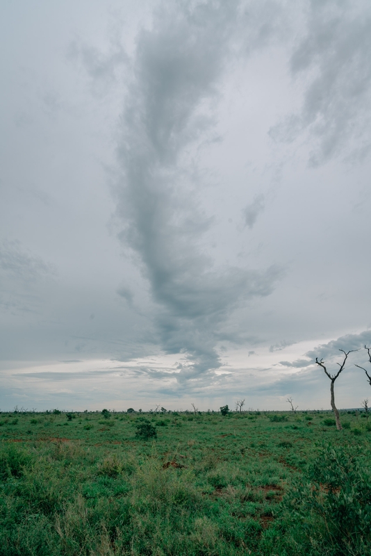 Evening Clouds