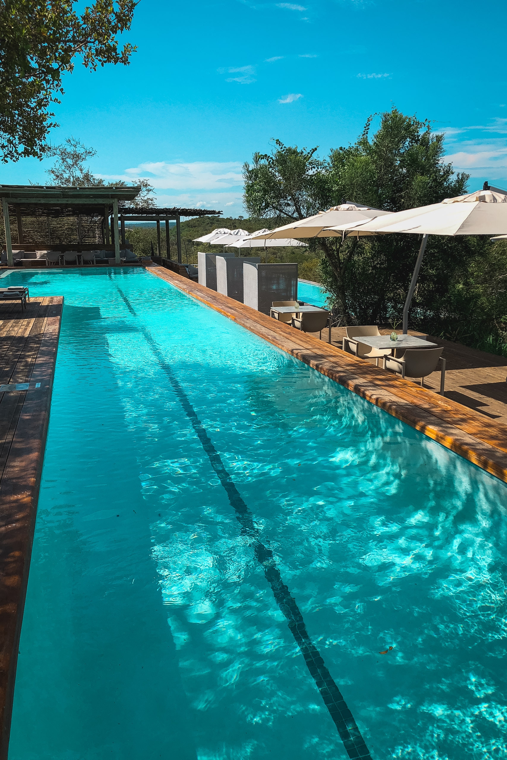 A modern lap pool with lane markings stretches across a wooden deck under a clear blue sky, flanked by beige umbrellas and lounge chairs with surrounding vegetation and covered structures visible in the background