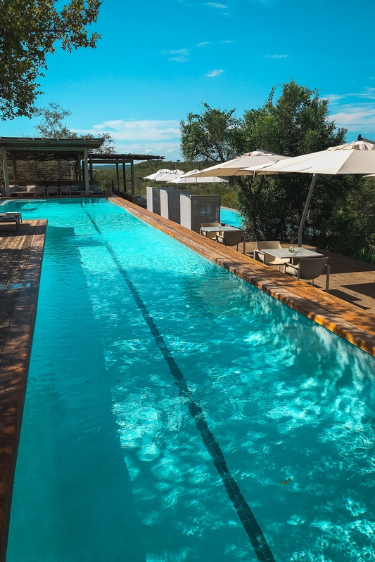 Modern Lap Pool With Wooden Deck