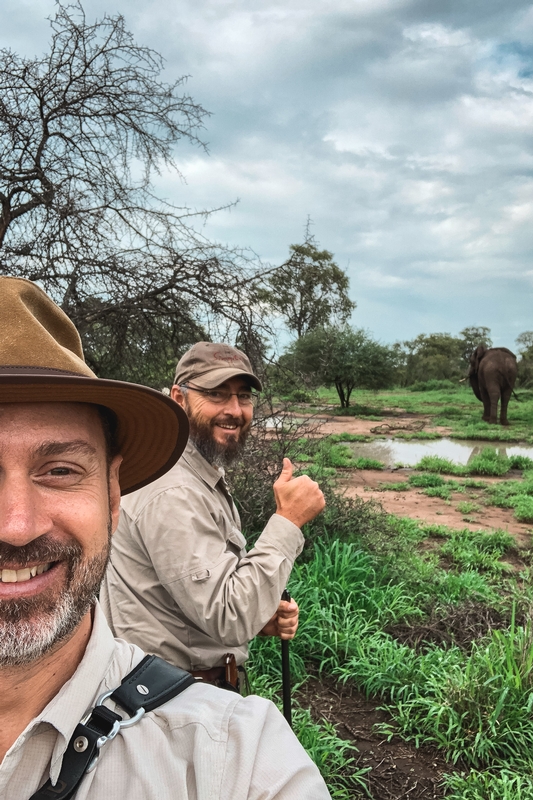 Safari Guides With African Elephant