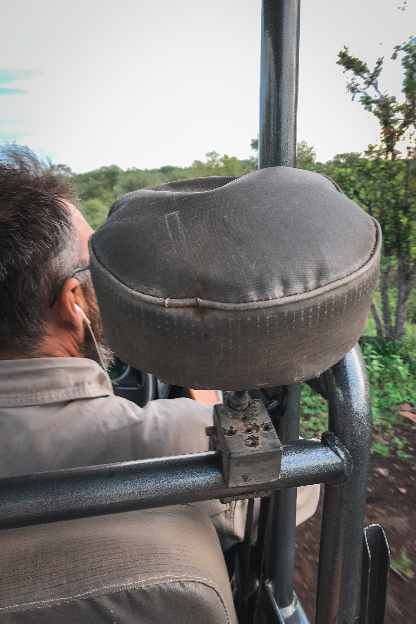 A person wearing glasses sits in an open safari vehicle with a padded headrest, gazing toward lush green bushveld landscape under overcast daylight conditions.