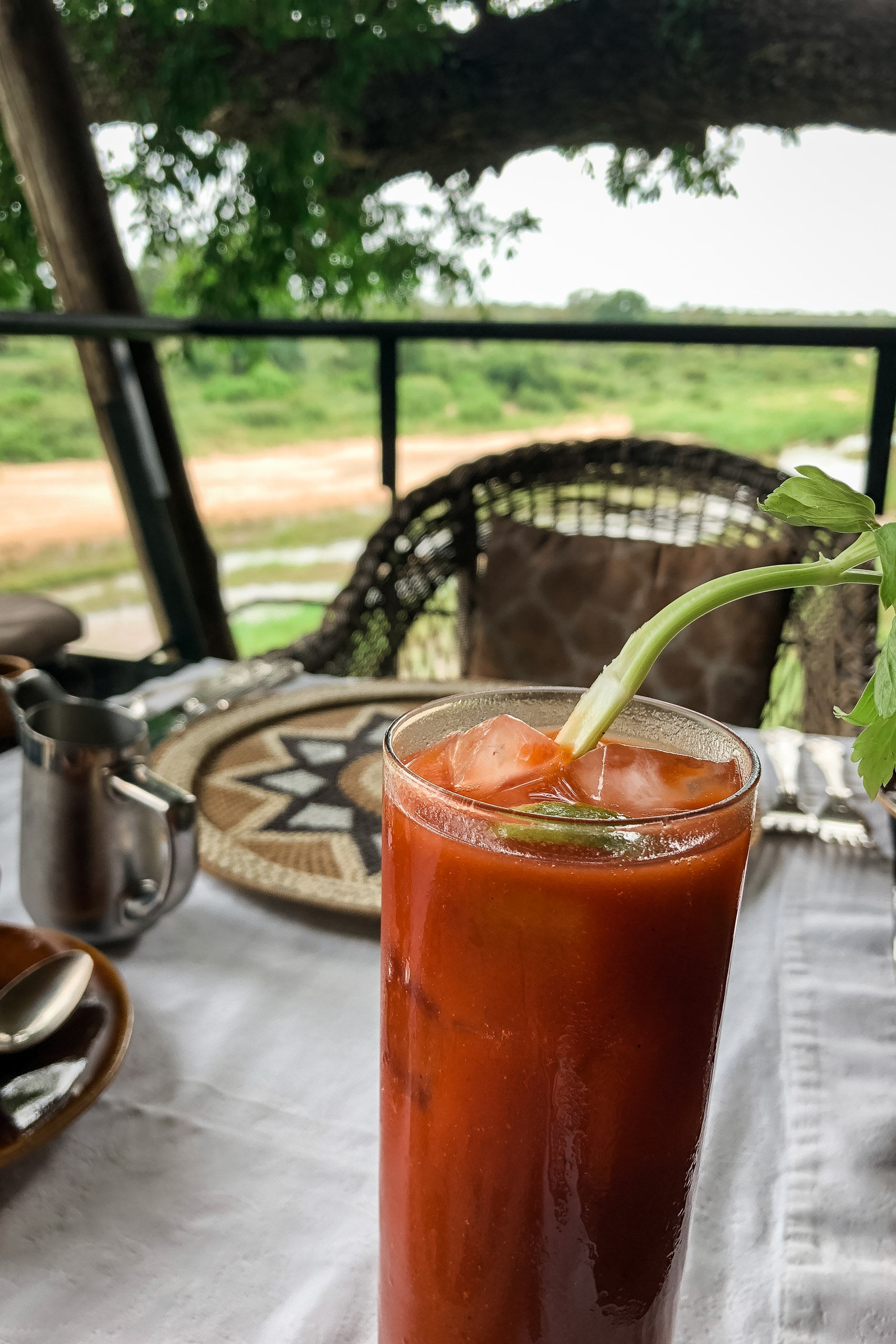 A Bloody Mary cocktail garnished with fresh celery sits on a white tablecloth on a safari lodge patio overlooking expansive green fields