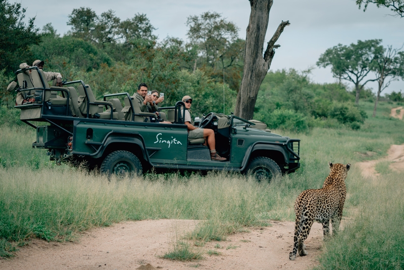 Leopards versus Tourists