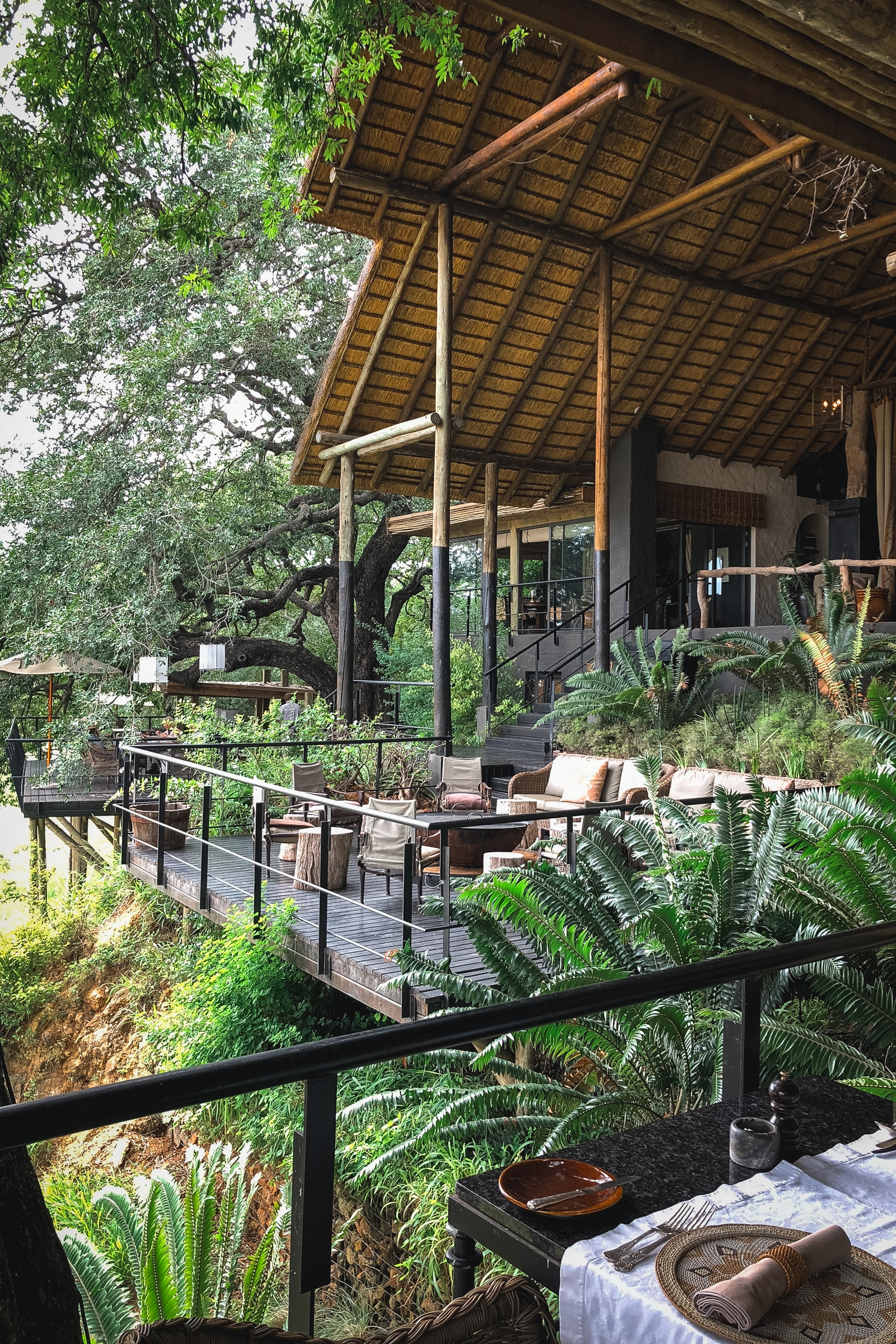 A multi-level wooden safari lodge with thatched roof overlooks lush green vegetation, featuring metal railings, comfortable seating areas, and natural daylight filtering through surrounding trees.