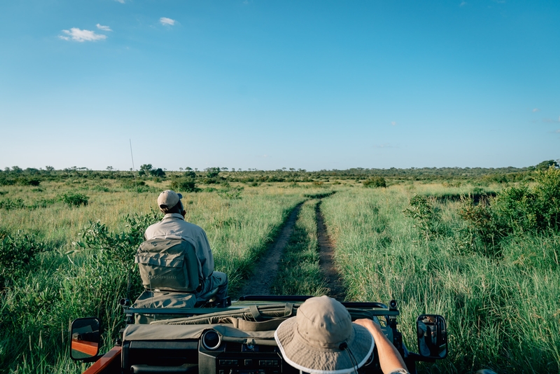 A Singita Game Drive