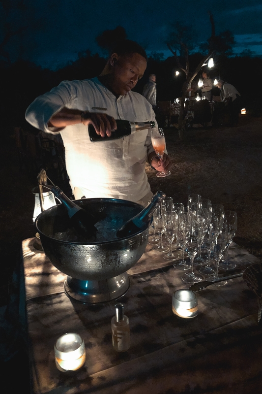 Bartender Pouring Punch at Evening Event