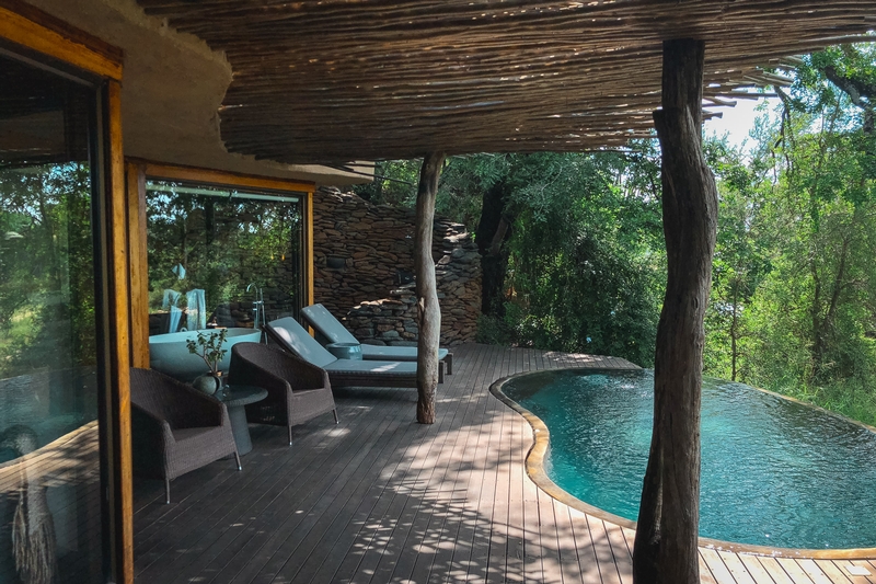 Modern Safari Lodge Overlooking Forest
