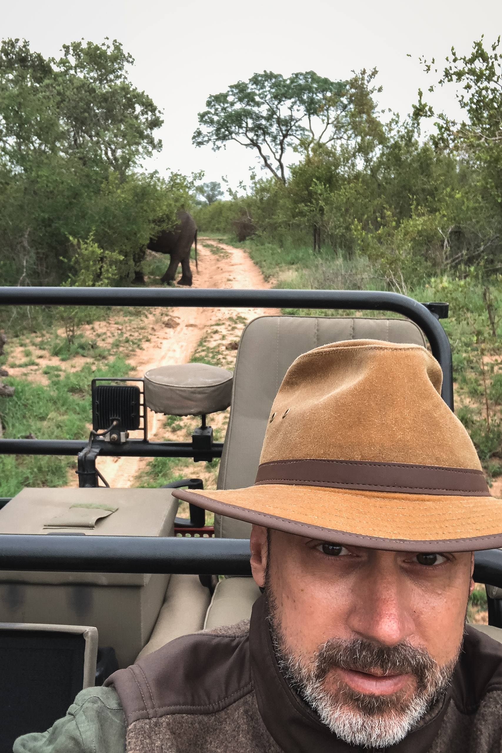 A bearded man in a tan safari hat takes a selfie from an open-air vehicle while elephants cross a dusty red road through African bush vegetation