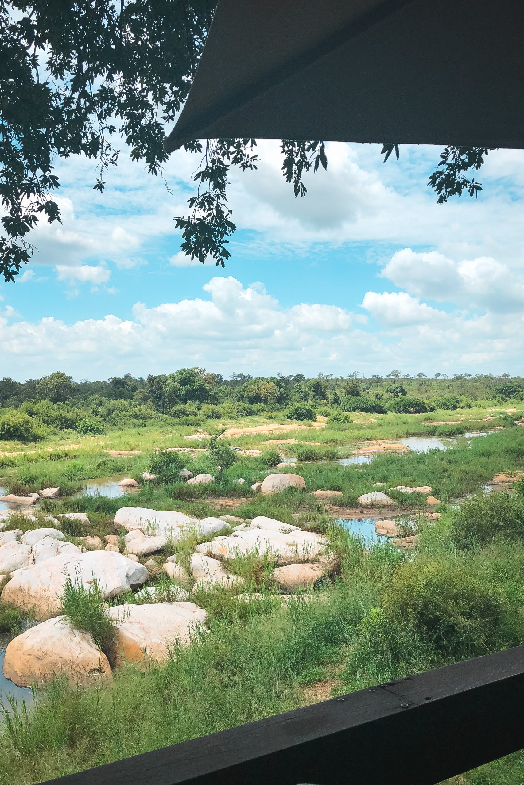 A savanna landscape with scattered boulders and shallow water pools stretches beneath a partly cloudy sky, framed by hanging tree branches from an observation shelter