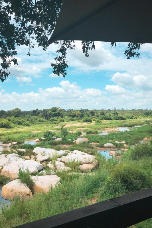 Savanna Landscape With Boulder-Studded Pools