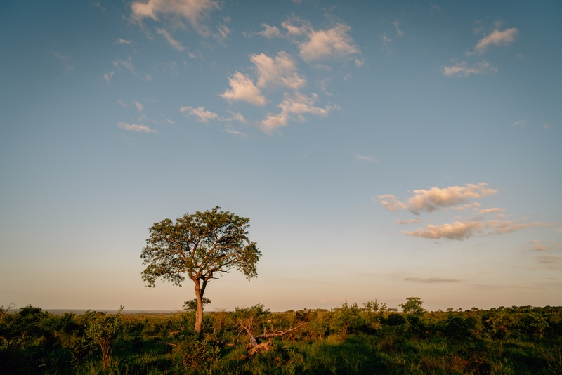 Sunset in Kruger National Park