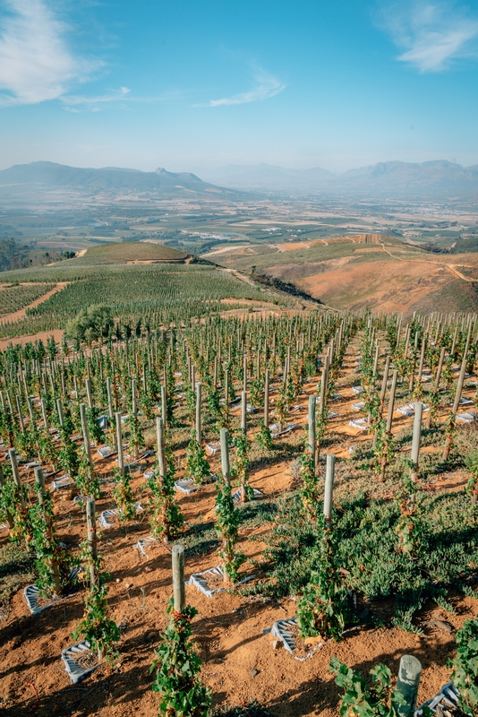 High Above the Winelands