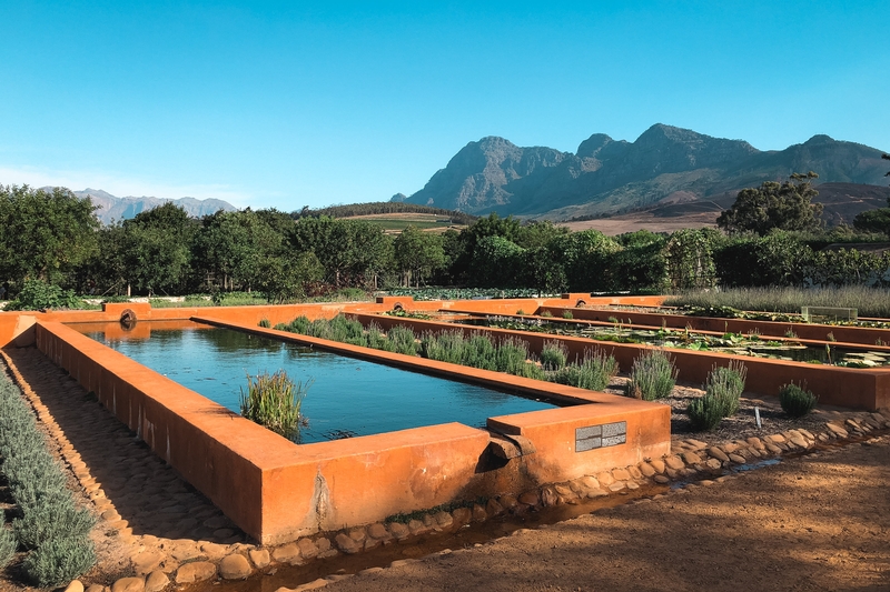 Orange Pools on Vineyard Estate