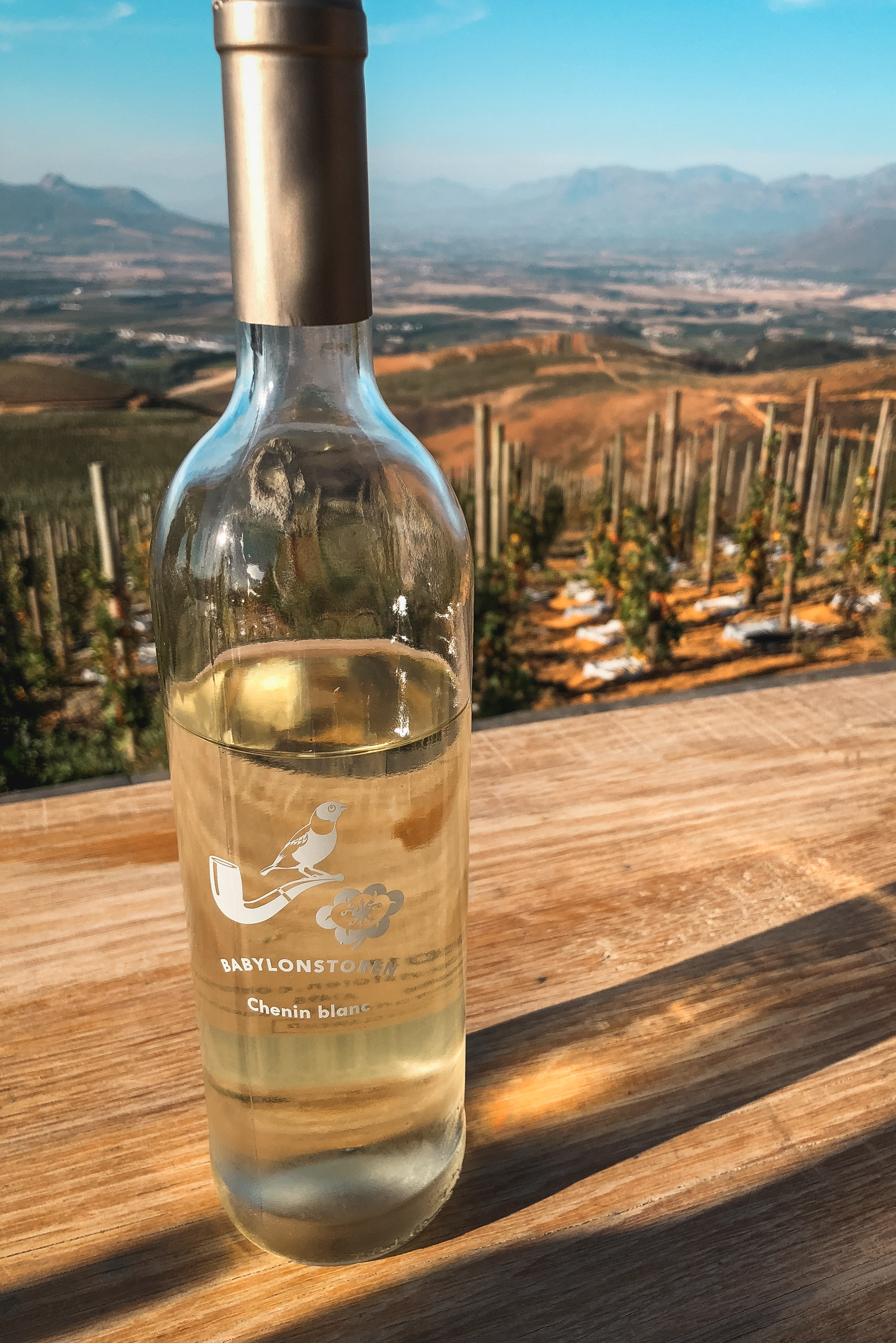 A bottle of white wine sits on weathered wood overlooking terraced vineyards in a sun-drenched valley with distant mountains under clear blue sky