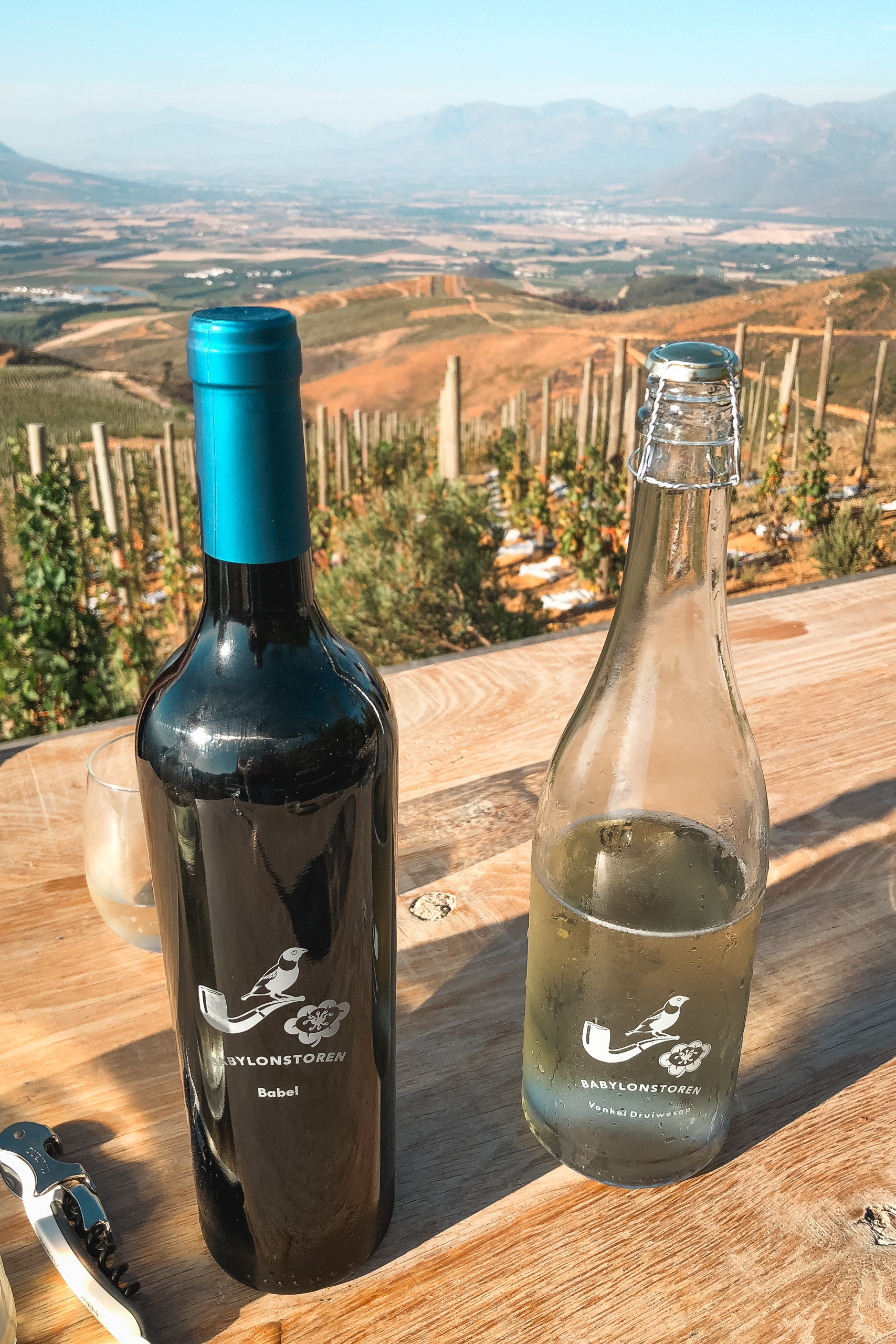 A red wine bottle with blue foil and a white wine bottle sit on a wooden table overlooking terraced vineyards, rolling hills, and a distant valley bathed in hazy sunlight at a South African winery