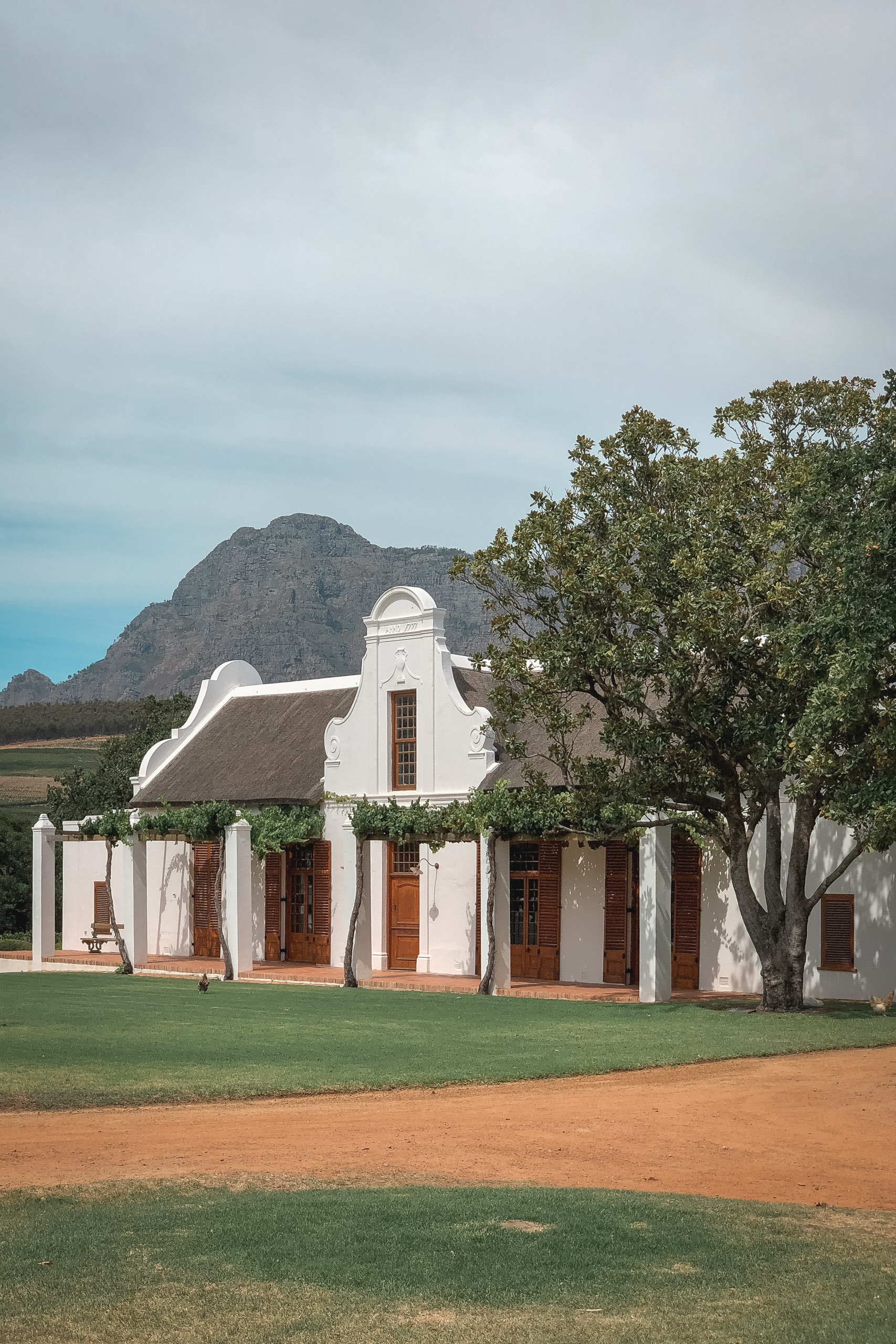 A white-walled Cape Dutch homestead with a thatched roof and wooden shutters sits beneath a sprawling oak tree, backed by dramatic mountain peaks under overcast skies