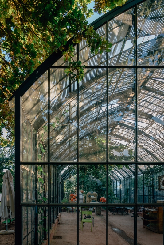 In the Greenhouse