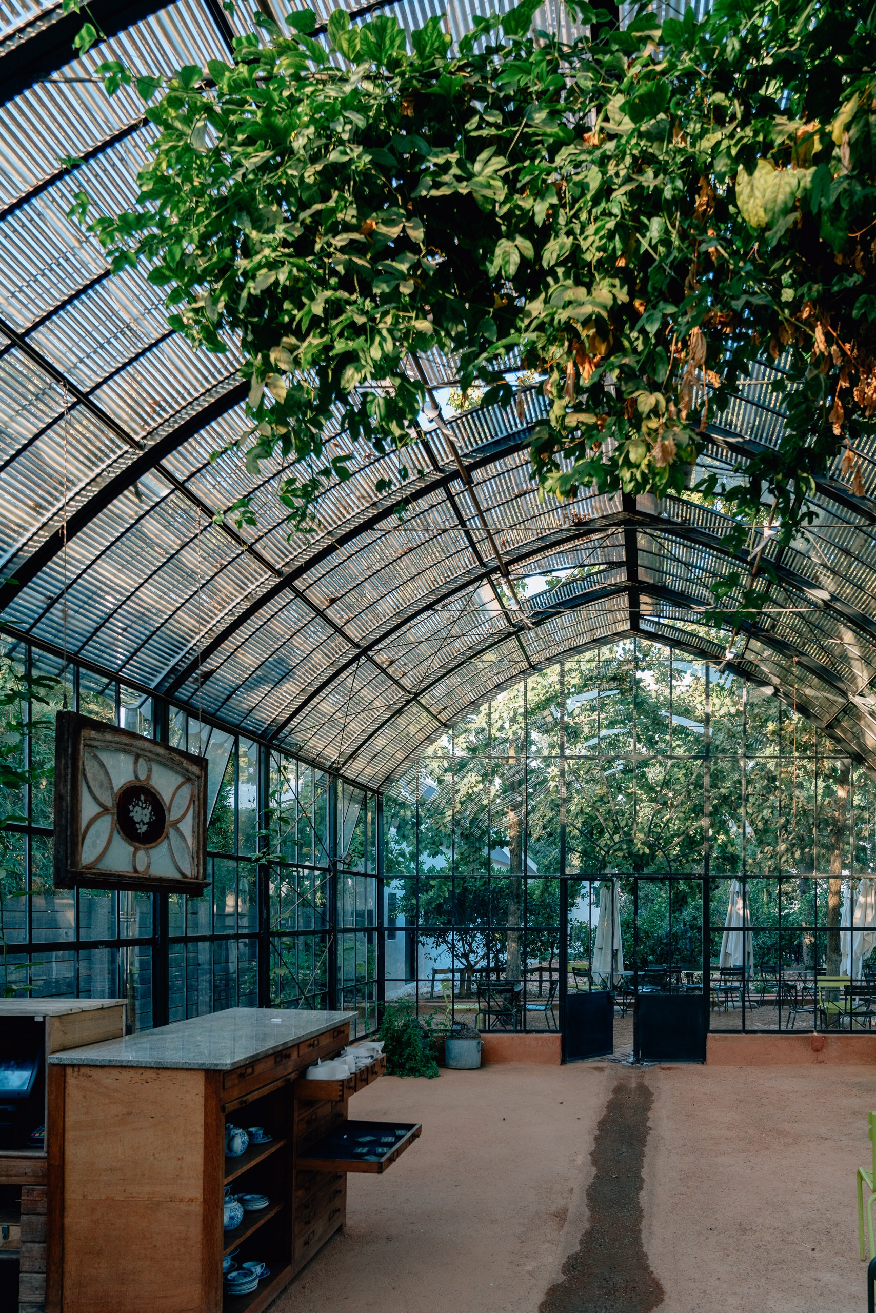 A greenhouse interior with arched glass and metal framework showcases climbing vines overhead, while wooden furniture and potted plants occupy the terracotta floor beneath dappled sunlight