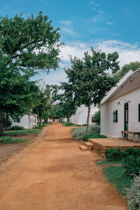 The Path to Babylonstoren