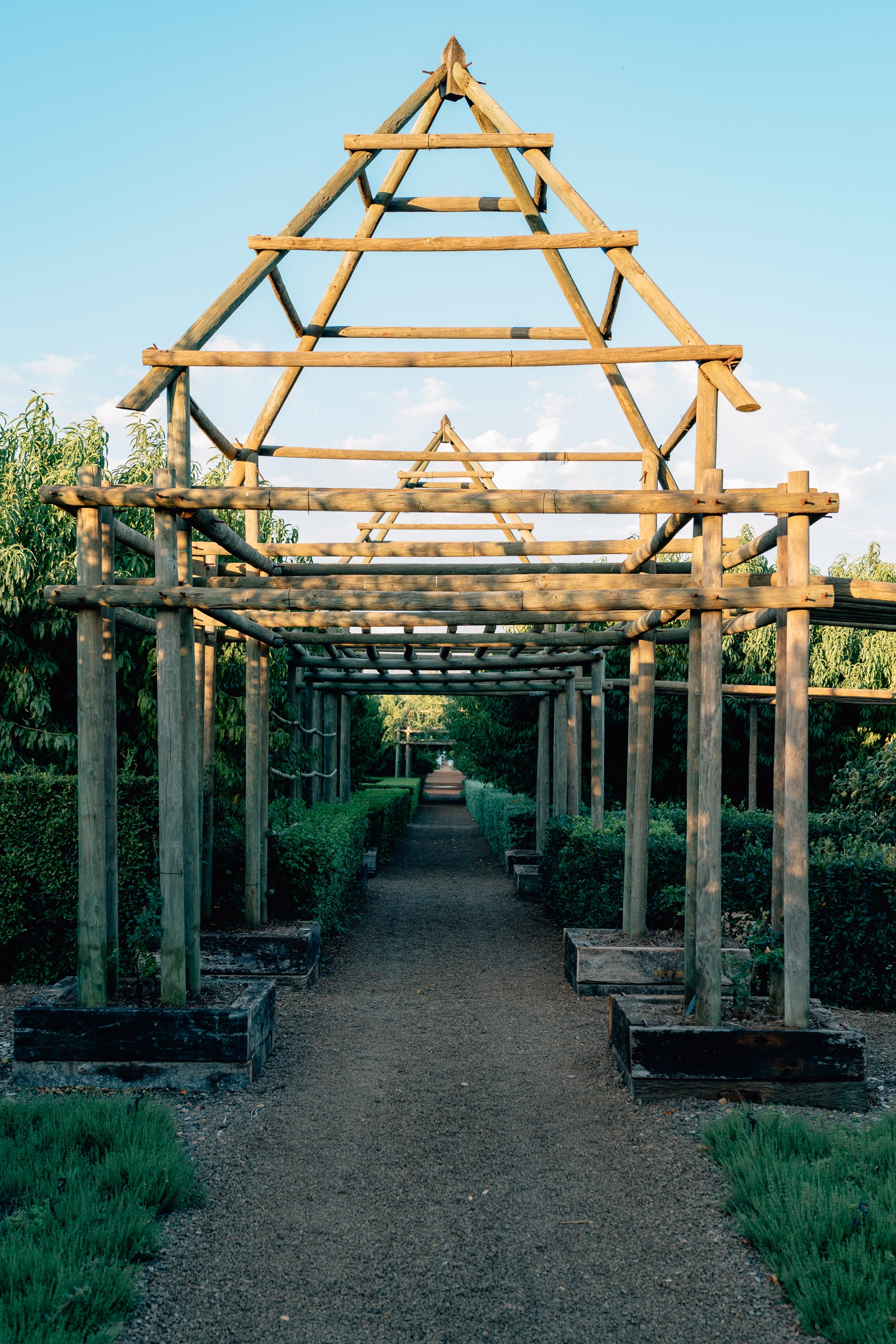 A wooden pergola structure with triangular roof framing creates a geometric passageway through a garden lined with green shrubs and plants under clear blue sky