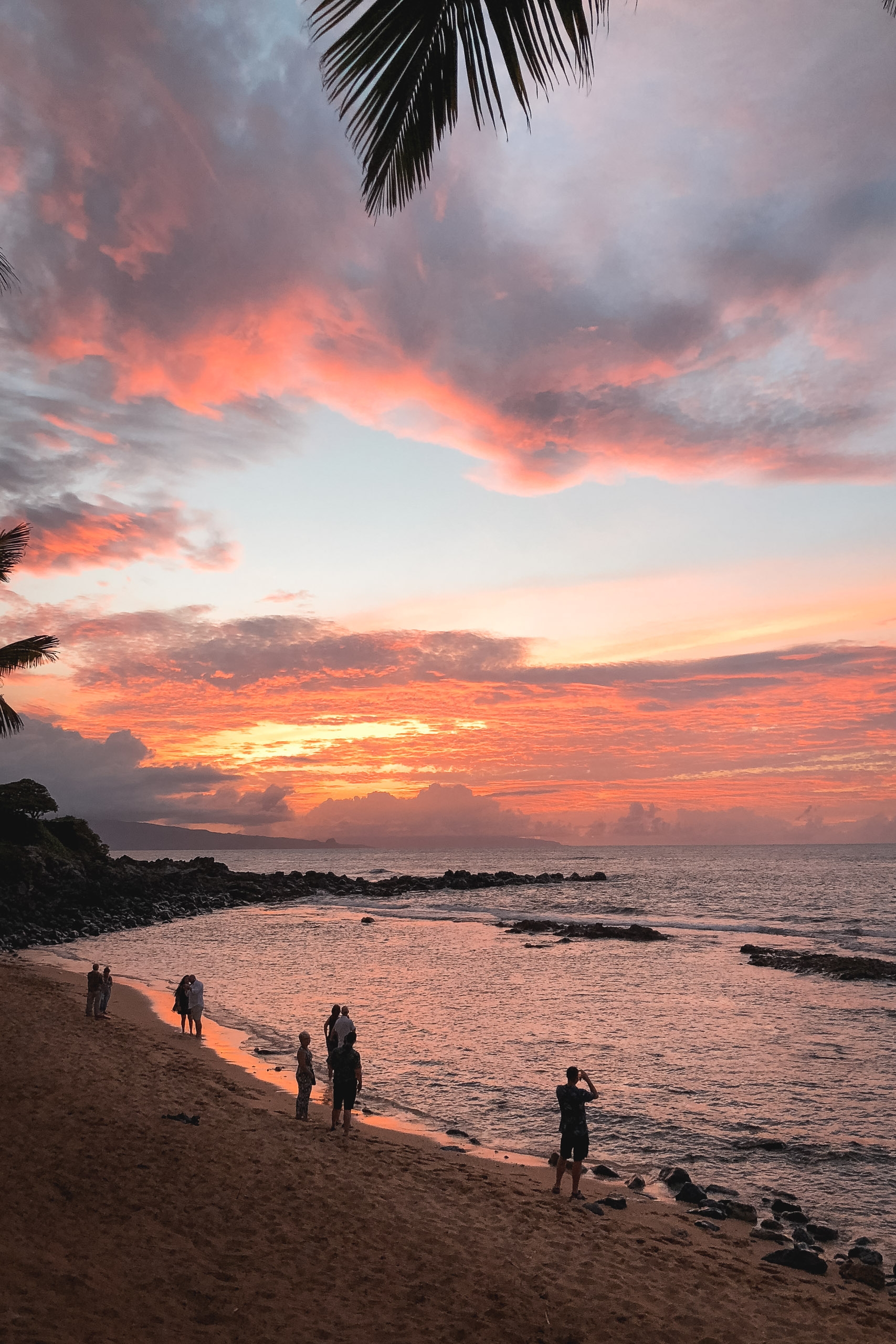 Palm fronds frame a dramatic orange and pink sunset over a calm ocean, with small groups of people silhouetted on a sandy beach below