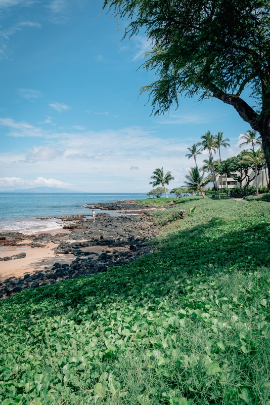 Wailea Beach on Maui 5