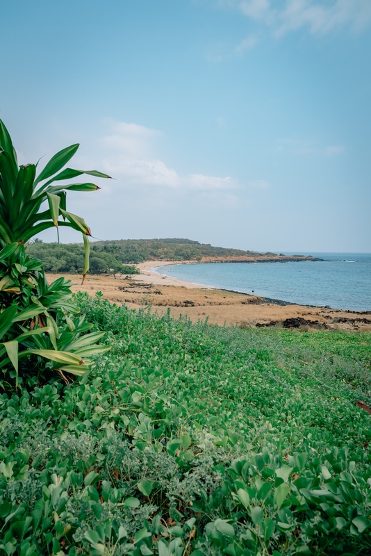 A View of Hulopoe Beach from the Four Seasons Lanai 2