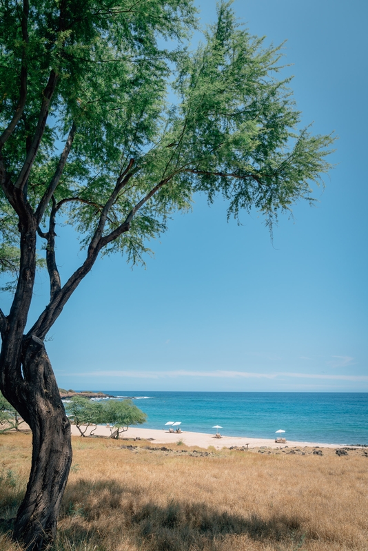 A View of Hulopoe Beach from the Four Seasons Lanai 3