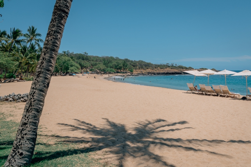 On Hulopoe Beach Lanai