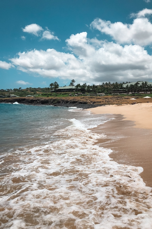 Tropical Beach With Turquoise Waters