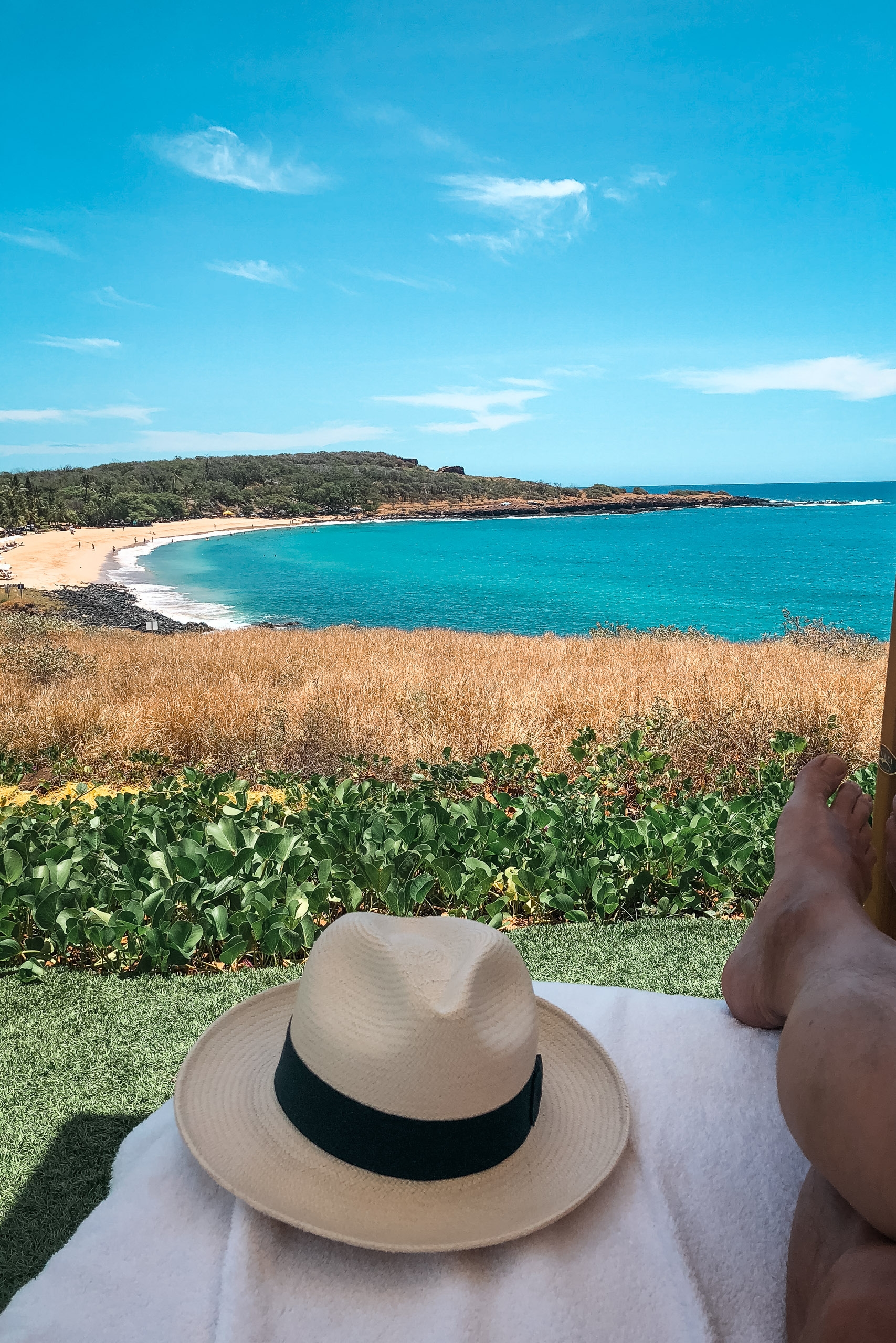 A person wearing a straw hat rests on grass overlooking a crescent beach with turquoise water, forested headland, and clear blue sky
