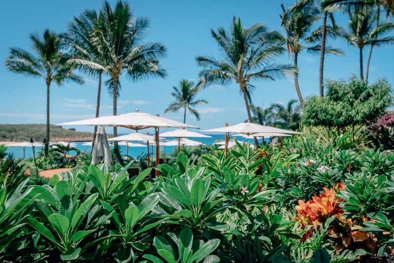 The Four Seasons Resort Lanai 2