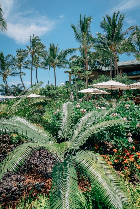 The Four Seasons Resort Lanai 3